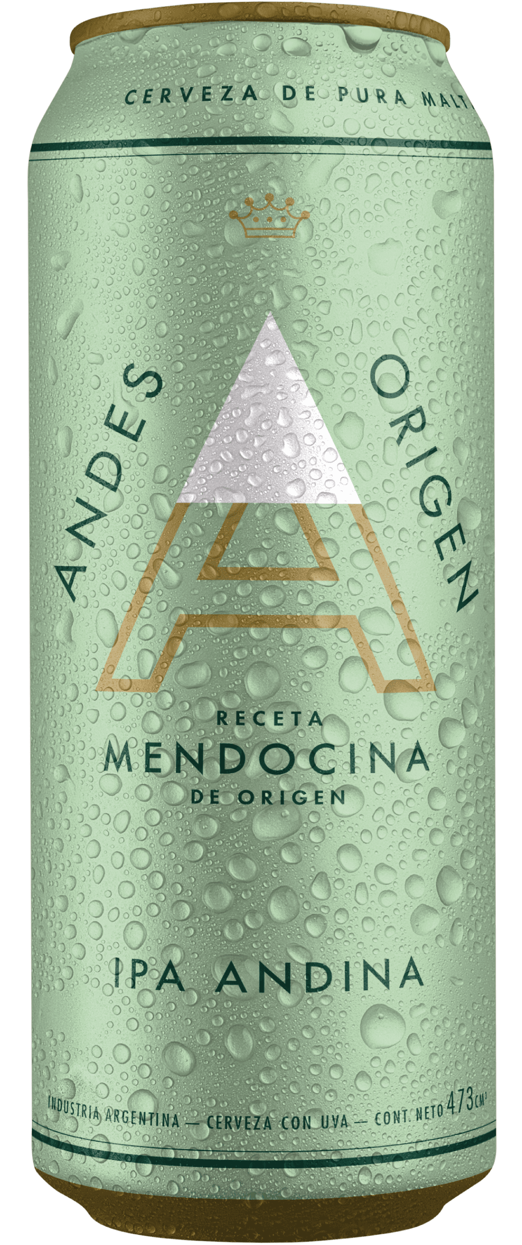 Lata Andes Origen IPA Andina